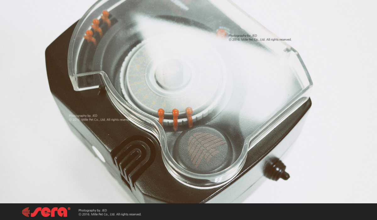 feed_A_plus_web_4