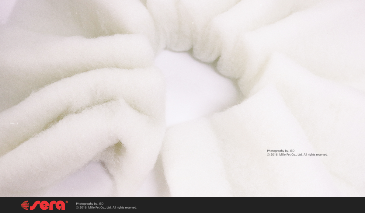 filter_wool_web_4