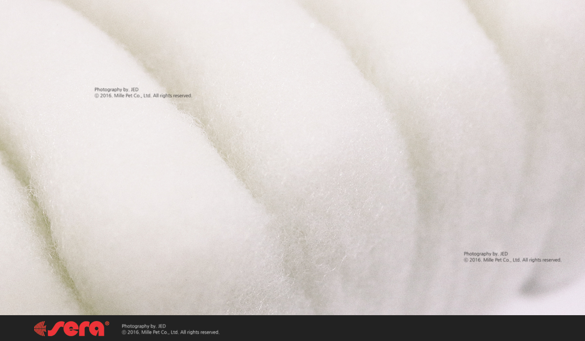 filter_wool_web_5