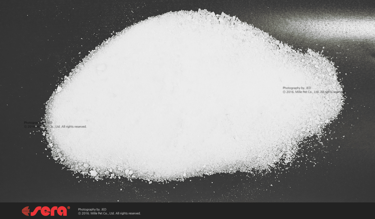 marin_salt_web_4